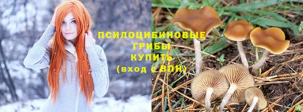 соль ск Нестеровская