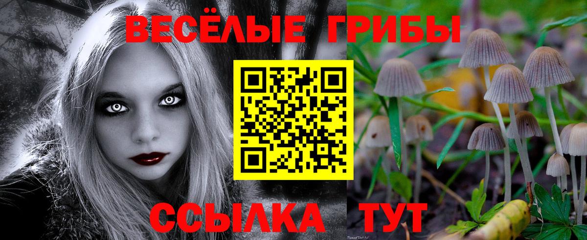 Меф  Бошки Шишки  Аша  Вход с VPN  NBOMe  Меф МЯУ МЯУ   Кокаин 
