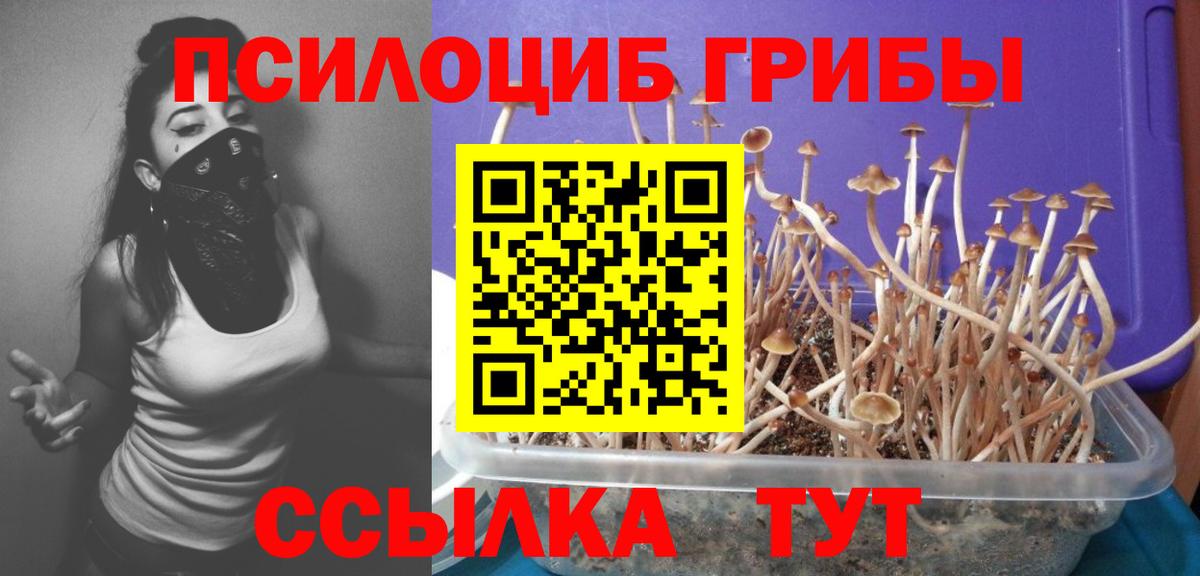 Псилоцибиновые грибы Cubensis  Вход с VPN  Галлюциногенные грибы Psilocybine cubensis  Аша 