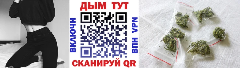 Бошки марихуана сатива  Аша 