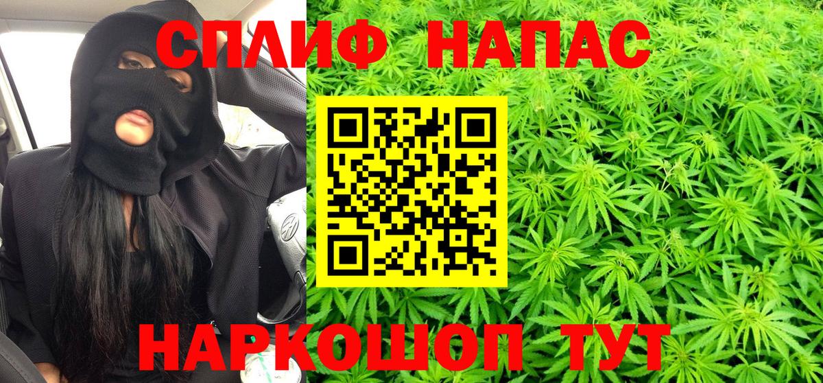 Марихуана план  МАРИХУАНА конопля  МАРИХУАНА Ganja  Аша 